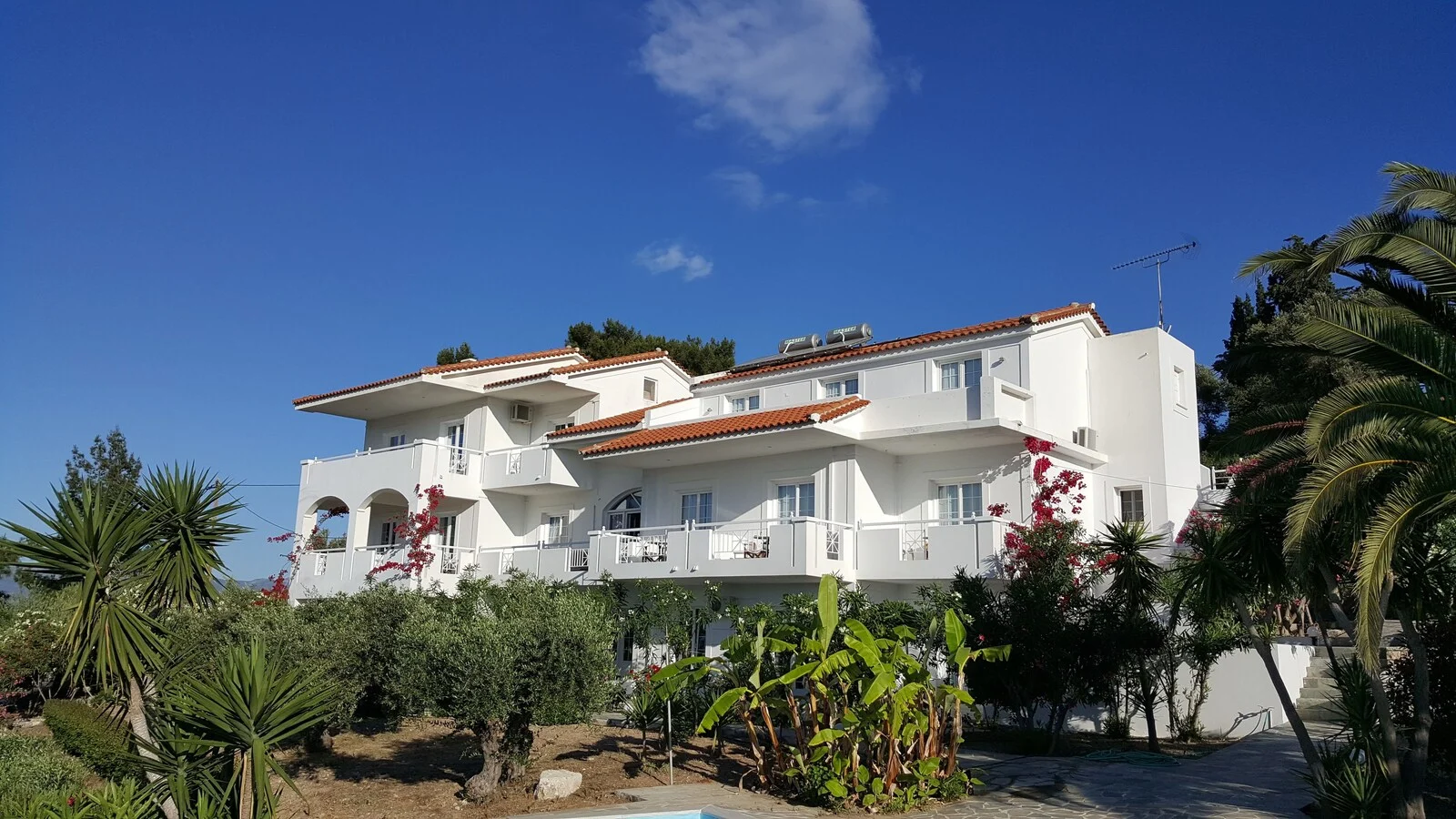 Wide exterior view of the white building and planted gardens.