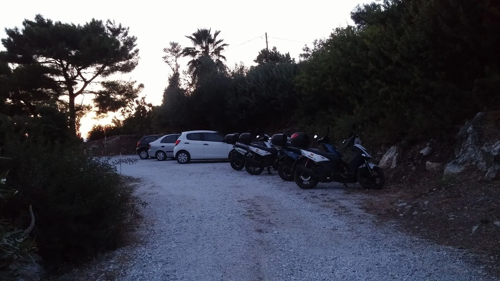 Parking area with cars and motorcycles among trees.