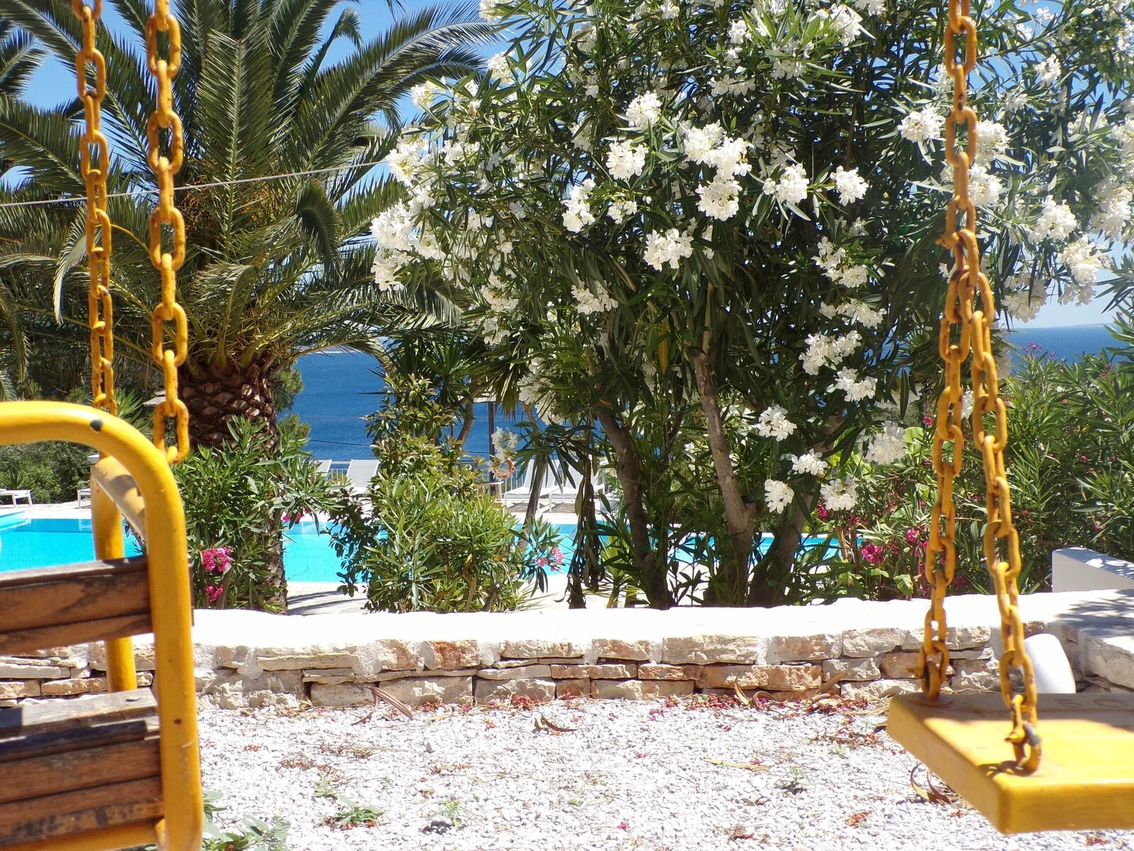 Yellow swing seats beside flowering garden shrubs.